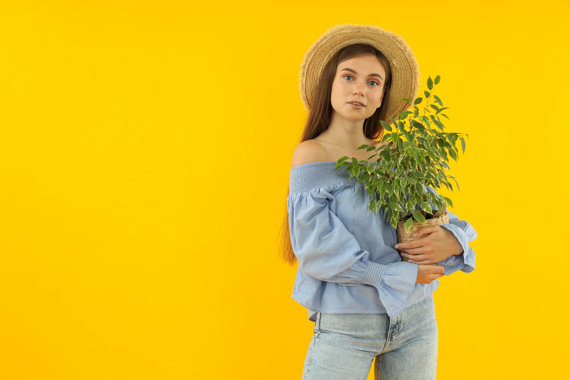 Circular Fashion and Sustainable Trends for a Greener Future